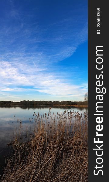 A becalmed lake with died back reeds with deep blue sky and puffy clouds. A becalmed lake with died back reeds with deep blue sky and puffy clouds