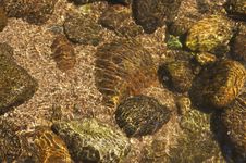 Little Runnel With Stones Stock Photos Little Runnel With Stones Stock Photos