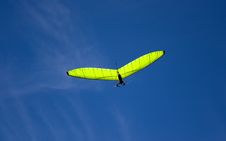 Green Glider. Stock Images