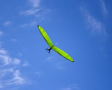 Green Glider. Royalty Free Stock Photo