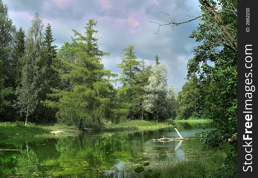 Reflections in the lake.Old beautiful forest in the nord-est of Russia. Reflections in the lake.Old beautiful forest in the nord-est of Russia