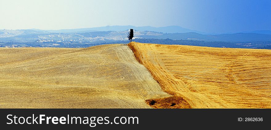 Typical Tuscan landscape near Siena called Crete Senesi (Siennese Clay)