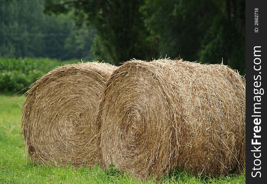 Hay for two