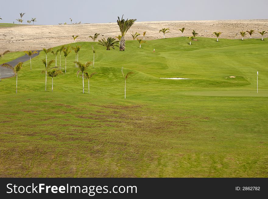 Exotic golf course with palms