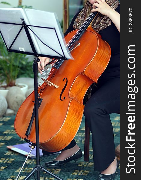 Women is playing a violoncello. Women is playing a violoncello