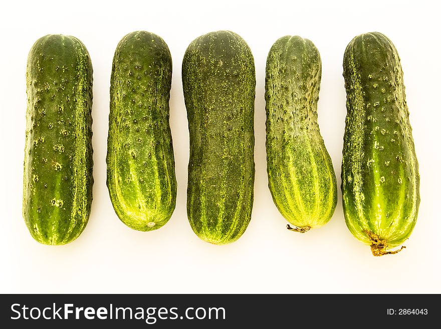 Five green cucumbers on a white background. Five green cucumbers on a white background