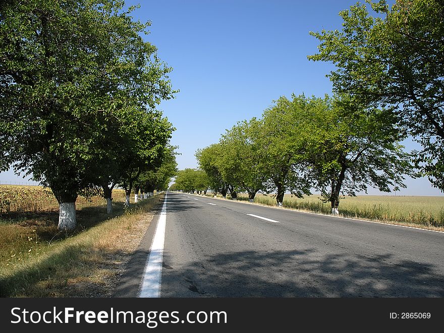 Empty road with trees an blue