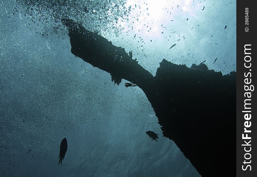 Bow view of sunken wreck. Bow view of sunken wreck