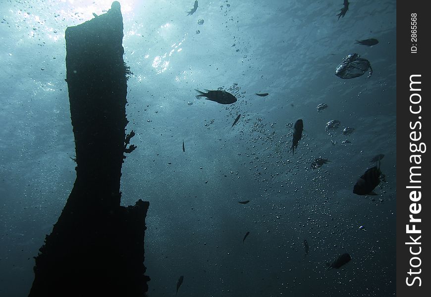 Bow view of underwater wreck in key largo. Bow view of underwater wreck in key largo