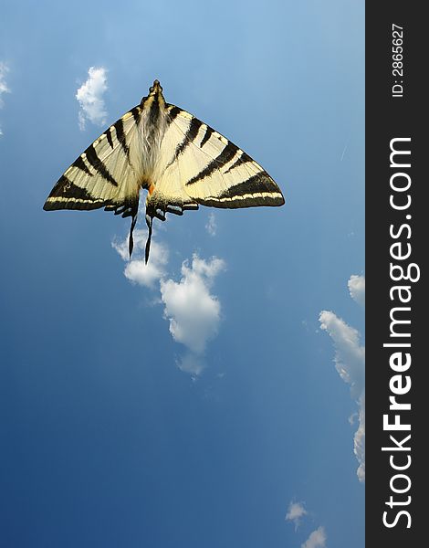 Abstract image of the flying butterfly