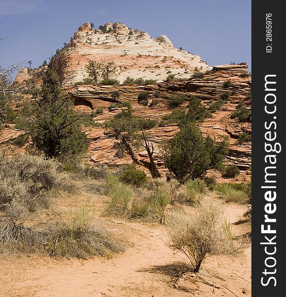 Desert Landscape at Zion National Park