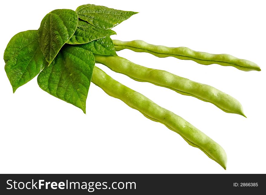 Young bean pods with leafs isolated on white background