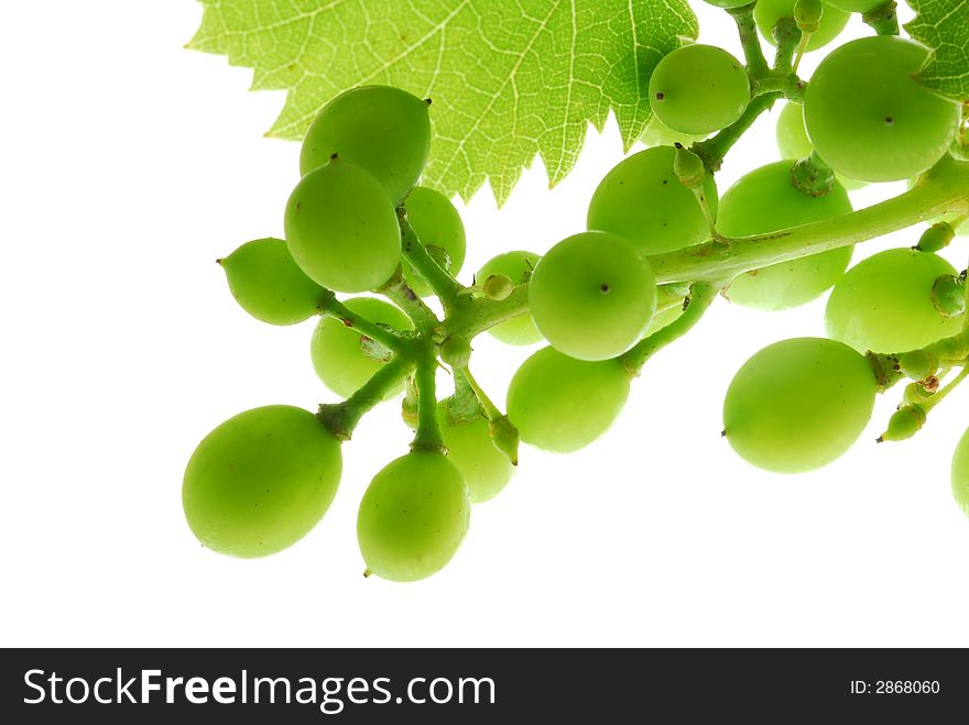 Green grapes and leaf on white background