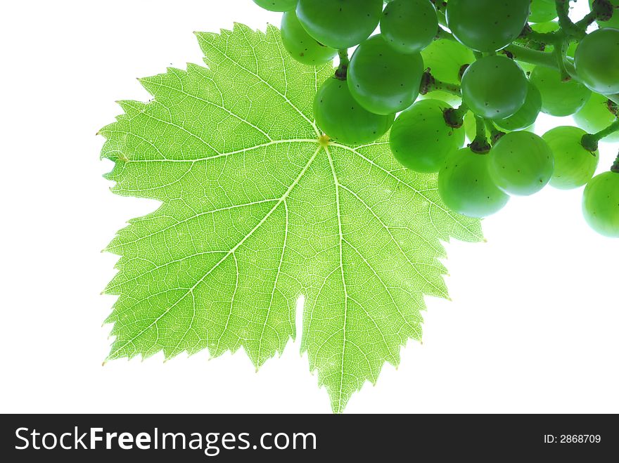 Green grapes and leaf on white background