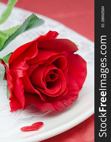 Red Rose On A White Plate, Selective Focus, Closeup