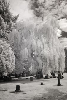 Infrared Photo Of A Cemetery Stock Photography Infrared Photo Of A Cemetery Stock Photography