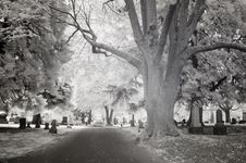Infrared Photo Of A Cemetery Royalty Free Stock Photo Infrared Photo Of A Cemetery Royalty Free Stock Photo