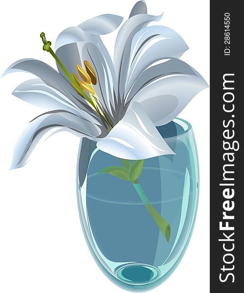 Lily in a vase as a vector illustration