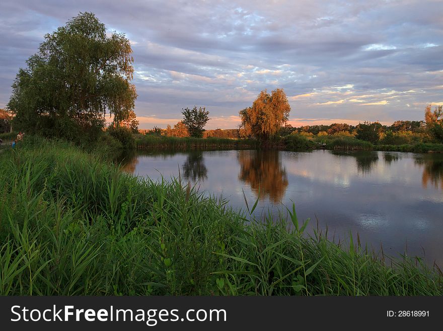 Pond Landscape