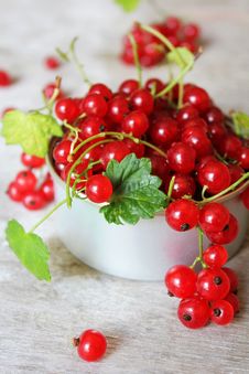 Red Currant Berries With Green Leaves Stock Images