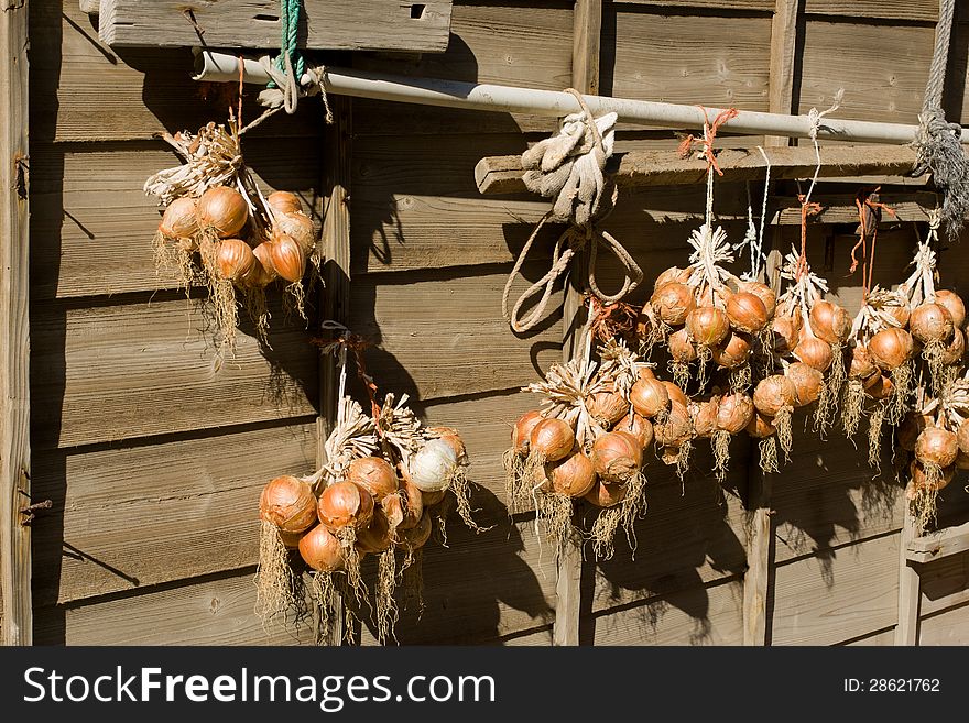 Onions in the sun hanging on a brown wooden wall