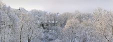 Frosty January Day Royalty Free Stock Image