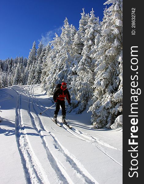 This image shows a skier that was descending from a mountain in a beautiful sunny winter day. This image shows a skier that was descending from a mountain in a beautiful sunny winter day.