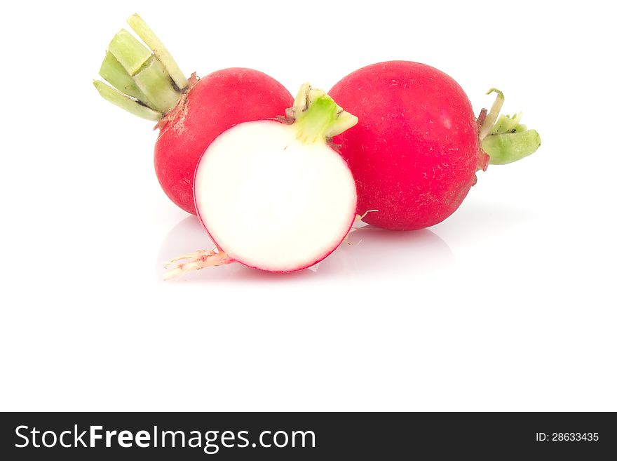 Small garden red radish on white background, food photo