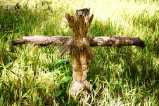 Scarecrow In A Grass Stock Images Scarecrow In A Grass Stock Images