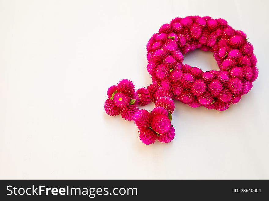 Garland made from fresh flower Thailand