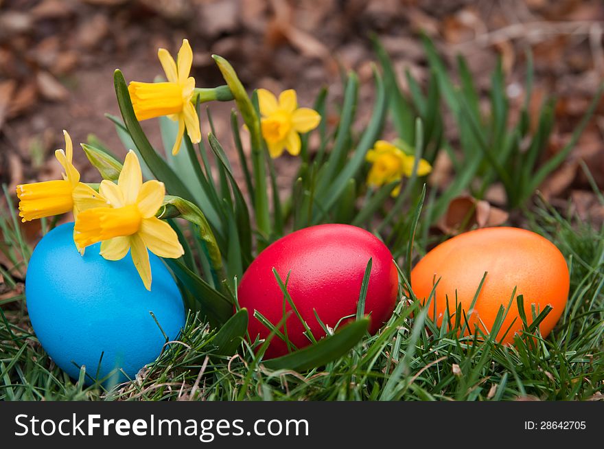 Easter eggs in a garden