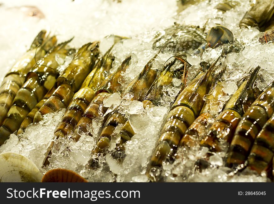 Sea fresh prawn frozen on the ice. Sea fresh prawn frozen on the ice