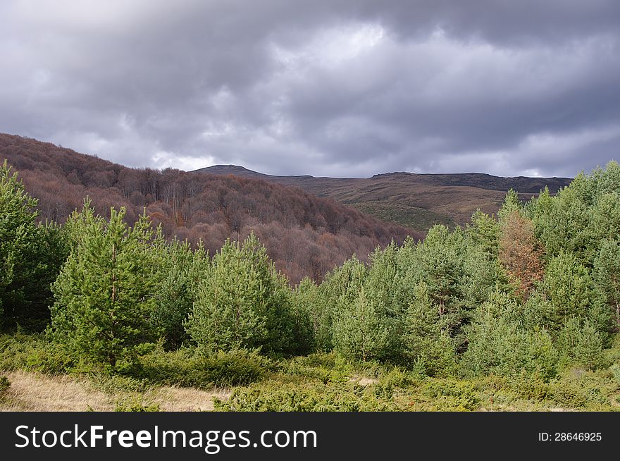 Autumn forest before the storm in mountain