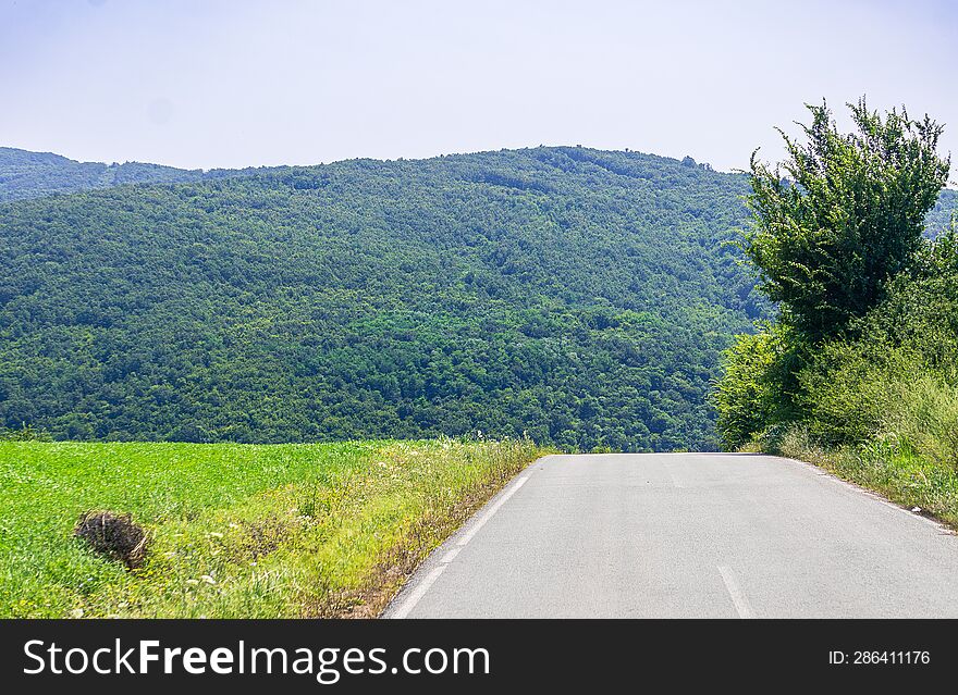 Road in the mountains. Mountain landscape with green grass and forest.