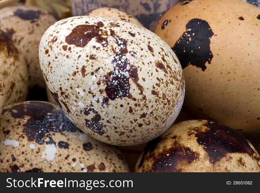 Background of Perfect Quail Eggs closeup