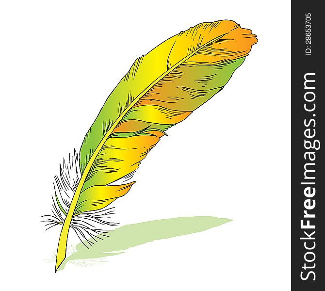 Writing feather with shadow- elegant yellow feather on simple white background
