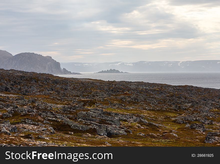 Shaggy nature near the lighthouse from Slettnes.Norway. Slettnes is the northernmost mainland lighthouse in the world.