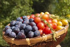 Plums In Basket Royalty Free Stock Image