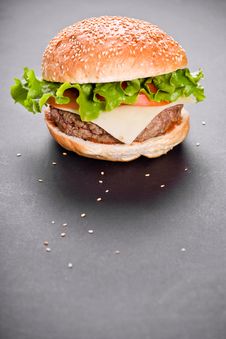 Burger Royalty Free Stock Photos Burger Royalty Free Stock Photos