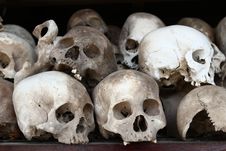 Skulls Stock Images
