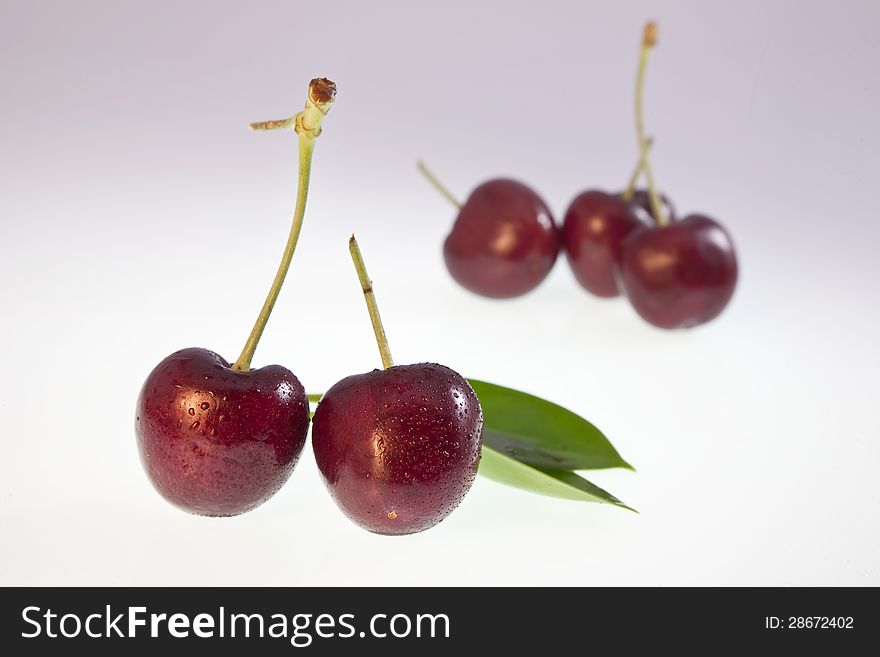 Fresh cherry covered with dew