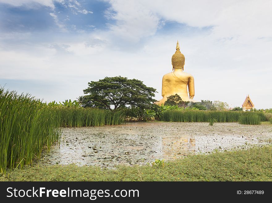 Big buddha statue at Wat muang, Thailand