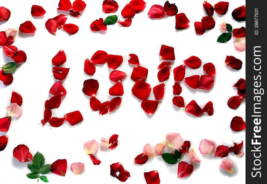 Word love of rose petals