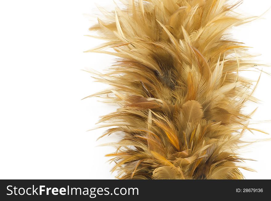 Feather broom with white background