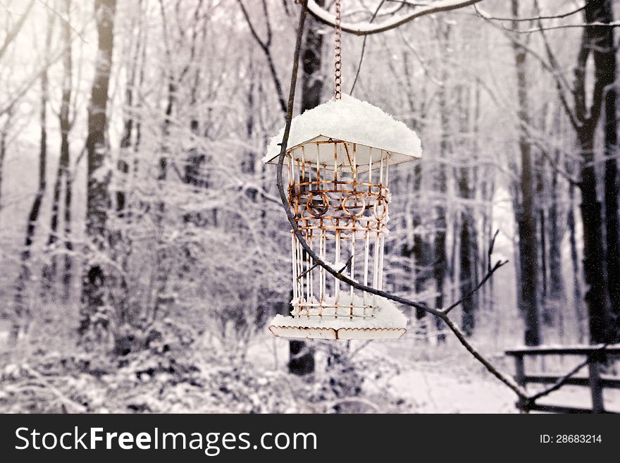 Winter bird house in snow forest