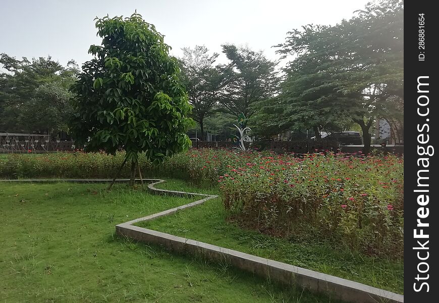 Public park in the morning