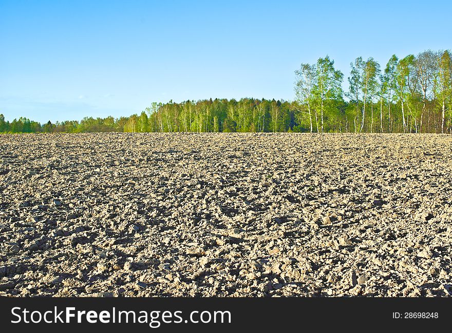 The plowed field