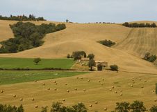 Rolling Hills In Tuscany Royalty Free Stock Images Rolling Hills In Tuscany Royalty Free Stock Images