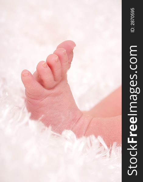 Close up of a newborn's foot on a fluffy white blanket. Close up of a newborn's foot on a fluffy white blanket.