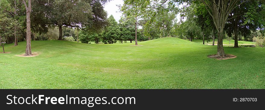 This is a panoramic of a landscape of trees and grass and foliage.